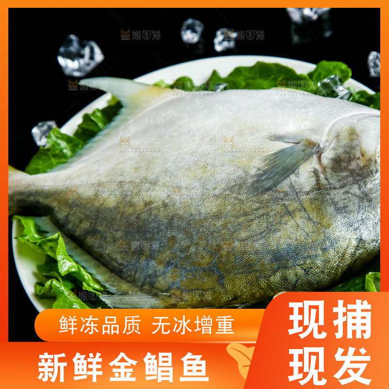 黑底上放着一盘金鲳鱼