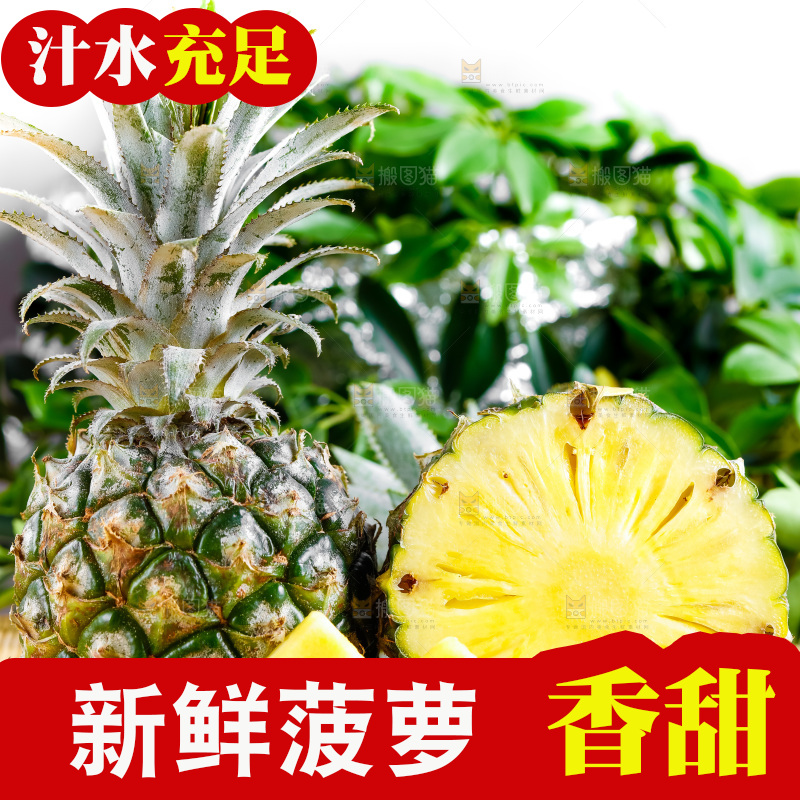 云南香水小菠萝放在白底上