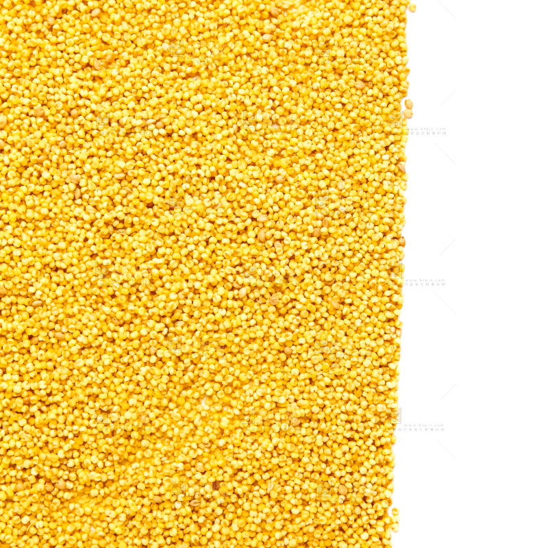 白底上放着新鲜黄小米