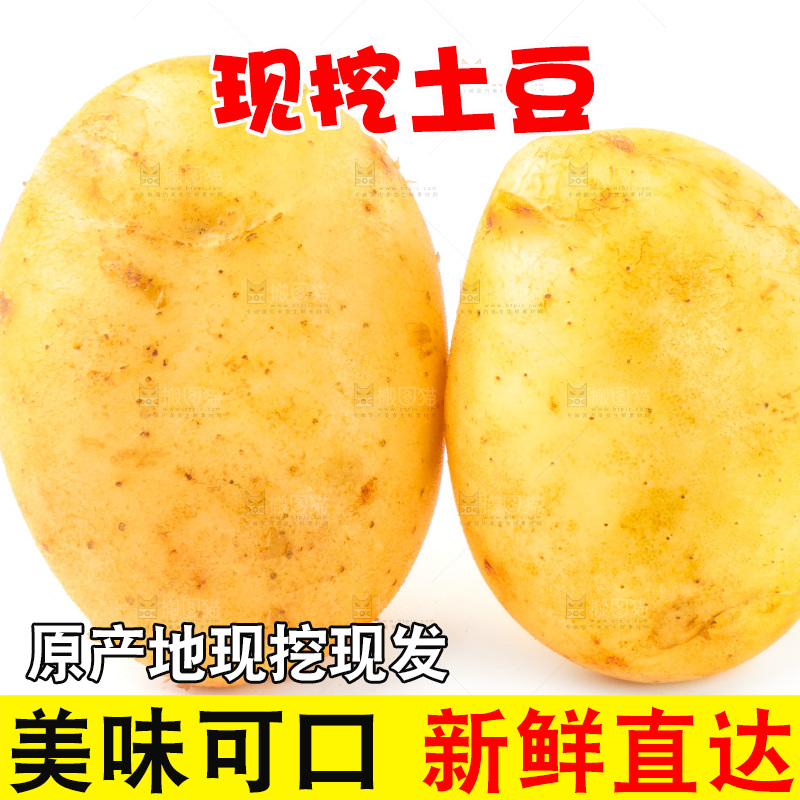 白底上的新鲜土豆