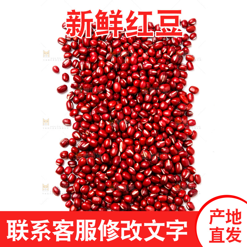 白底上的红豆