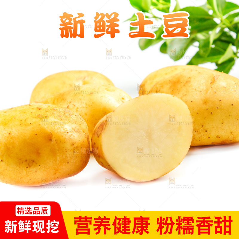 白底上放着云南黄心土豆