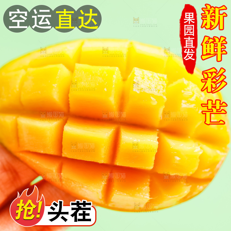 手拿新鲜彩芒