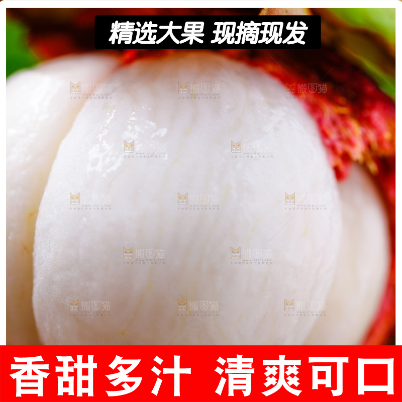 木底上的新鲜山竹