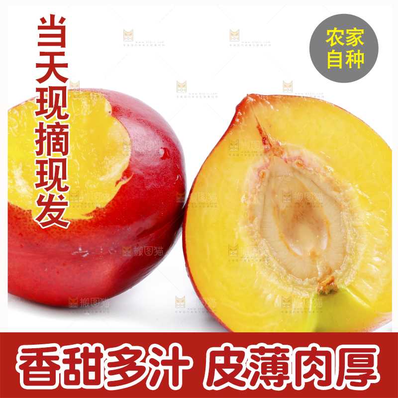 山西黄心油桃放在白底上