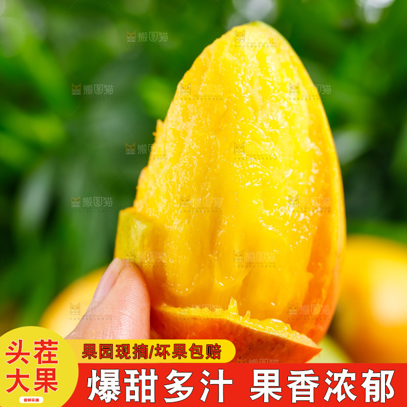 手拿新鲜彩芒