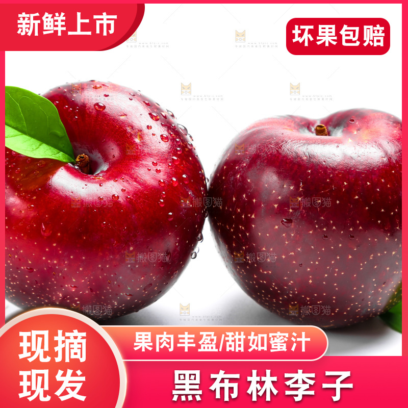 白底上的黑布林