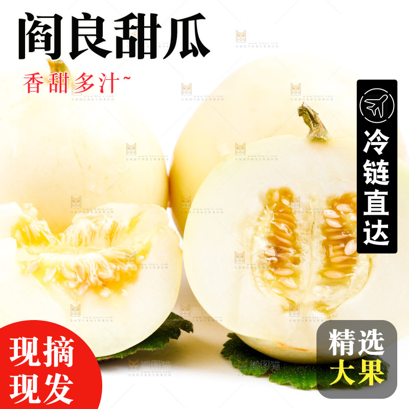 新鲜阎良甜瓜放在白底上