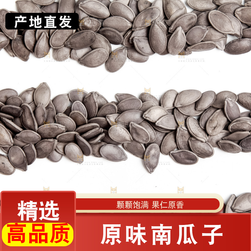 黑南瓜子放在白底上