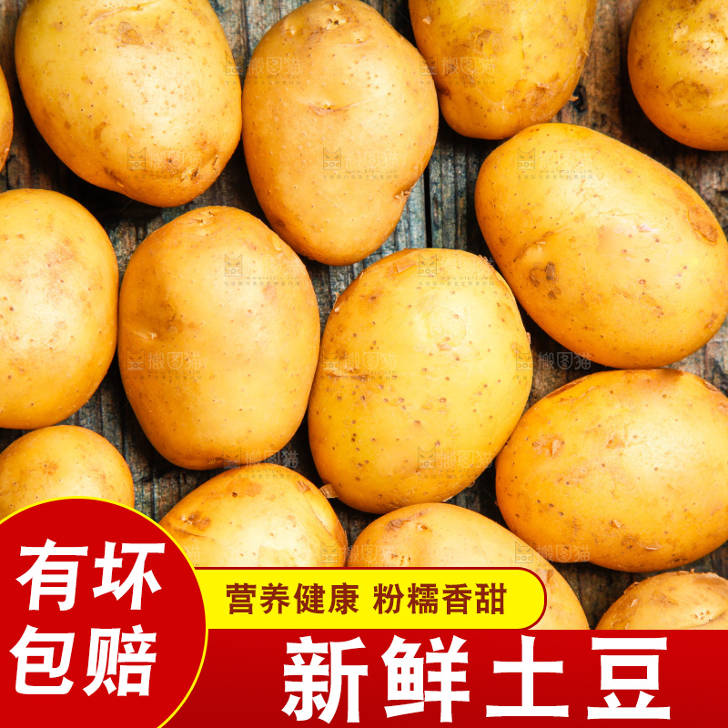 木底上土豆