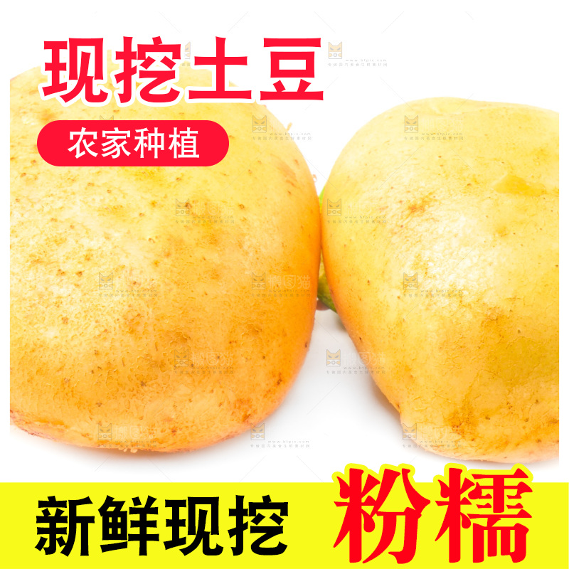 白底上的新鲜土豆