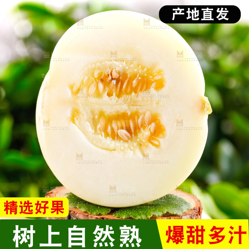 木底上放着陕西阎良甜瓜