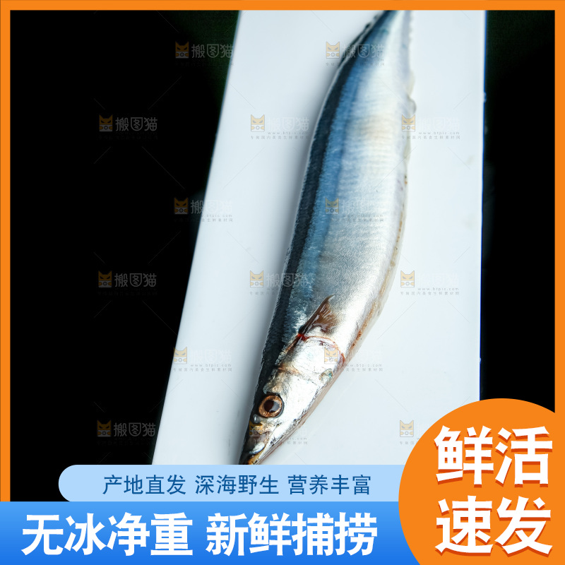 黑底上放着一盘秋刀鱼
