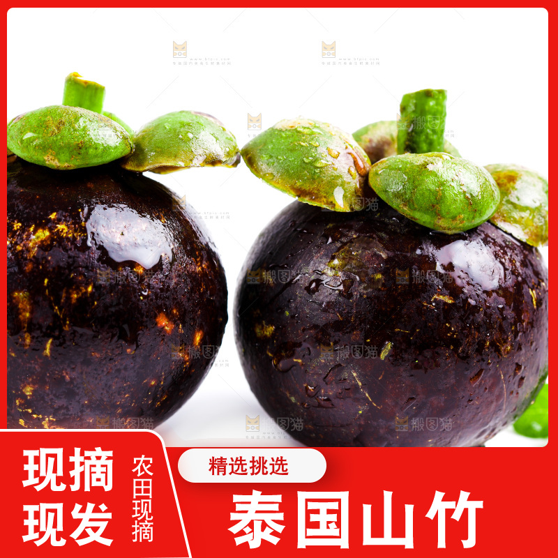 白底上的山竹