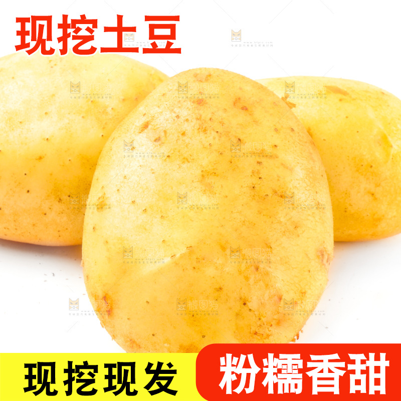 白底上的新鲜土豆
