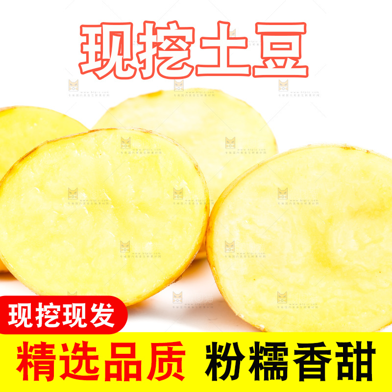 黄心土豆放在白底上