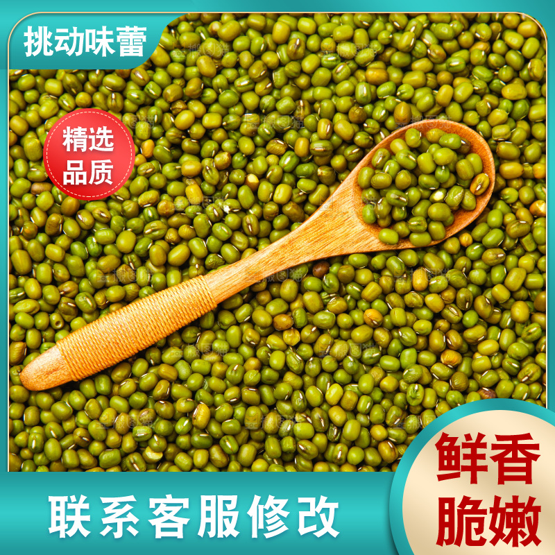 新鲜绿豆放在白底上