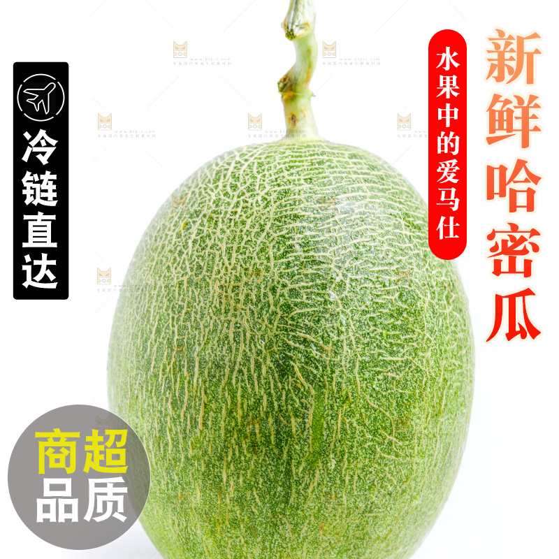白底上的哈密瓜