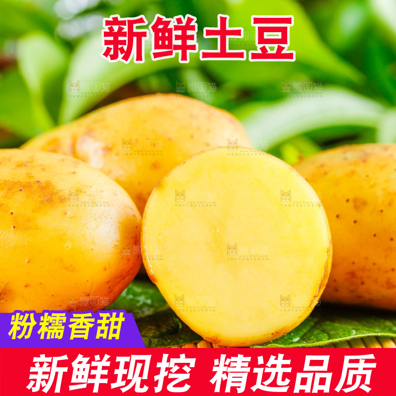 浅底上放着云南黄心土豆