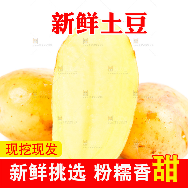 黄心土豆放在白底上