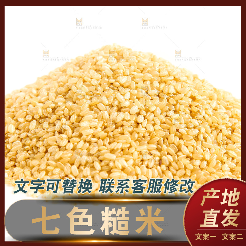 东北糙米放在白底上