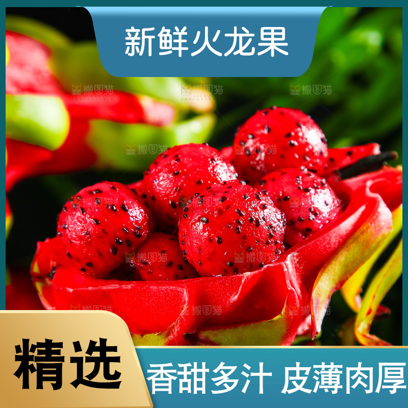 黑底上放着海南红心火龙果