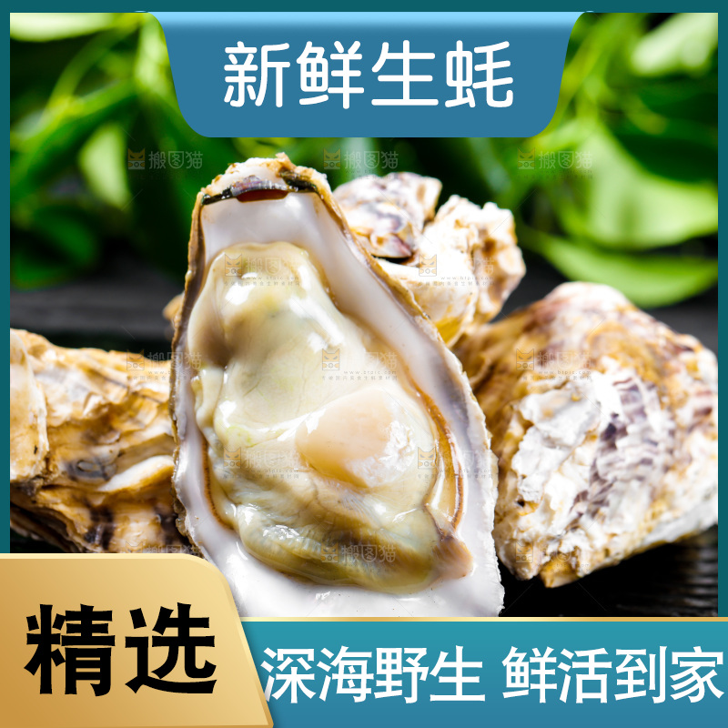 深底上放着牡蛎