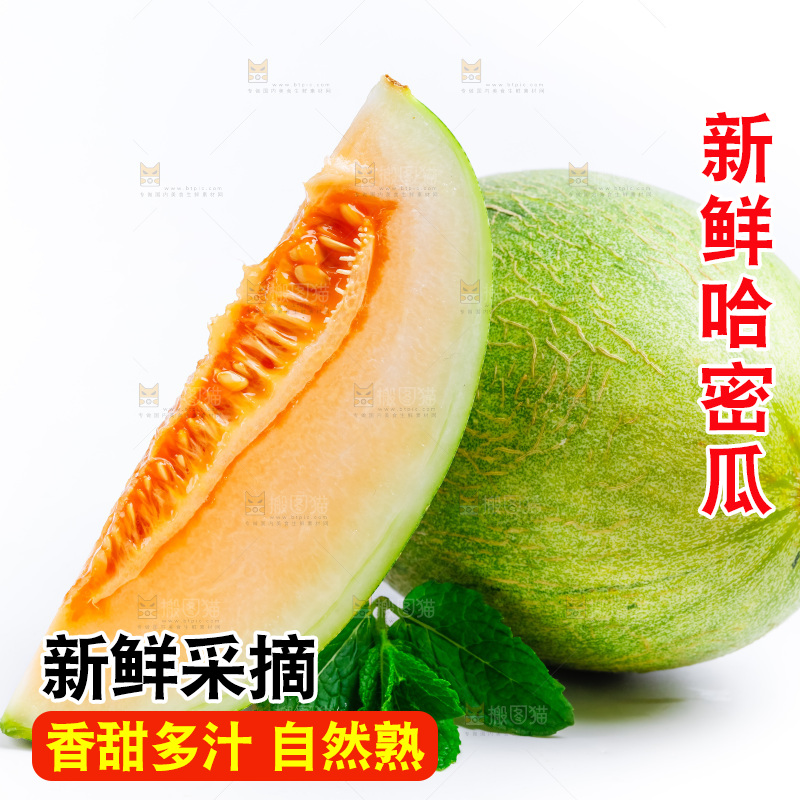 白底上的哈密瓜