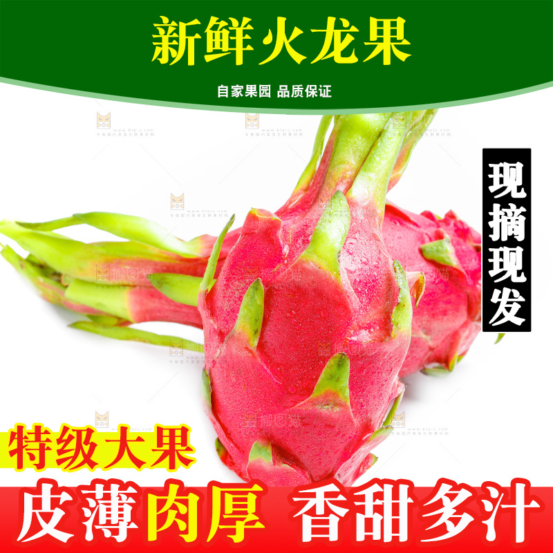 白底上的火龙果