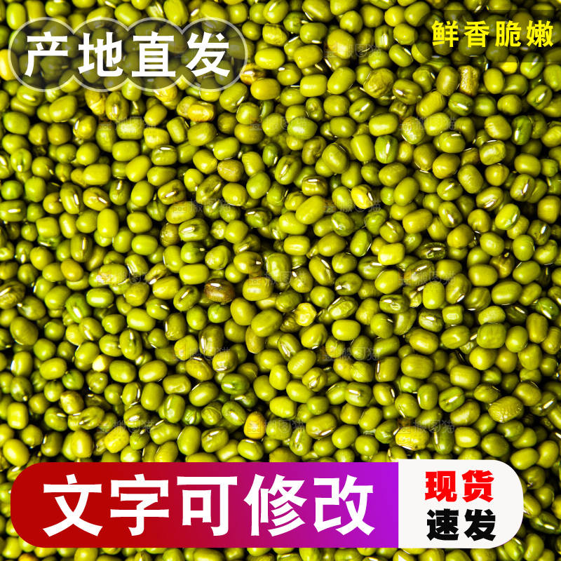新鲜绿豆放在白底上