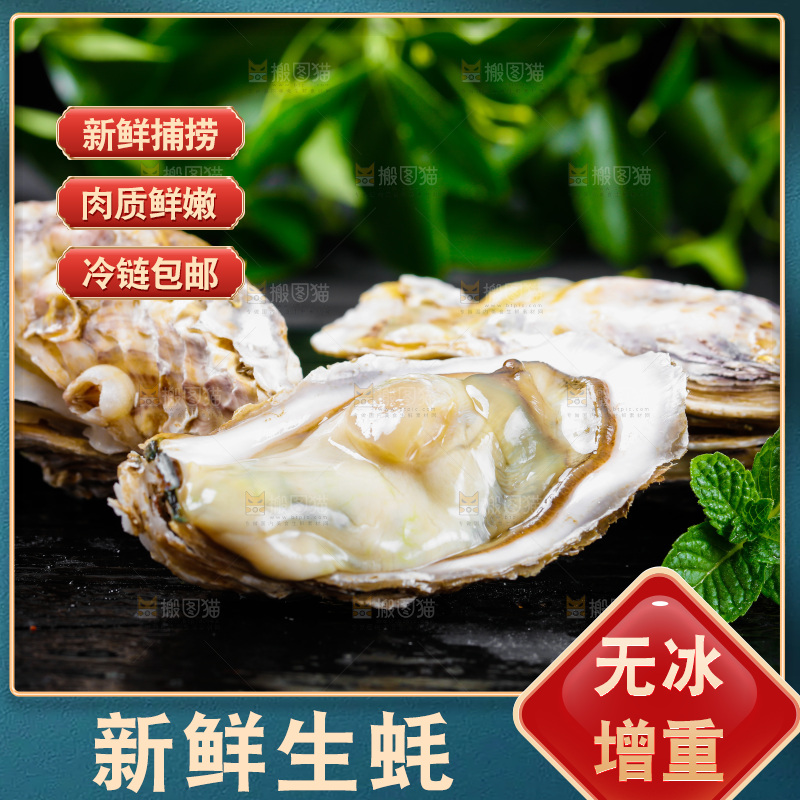 深底上放着牡蛎