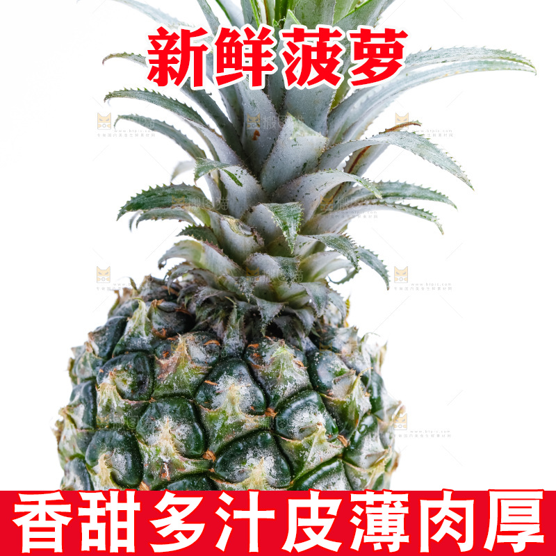 白底上的菠萝