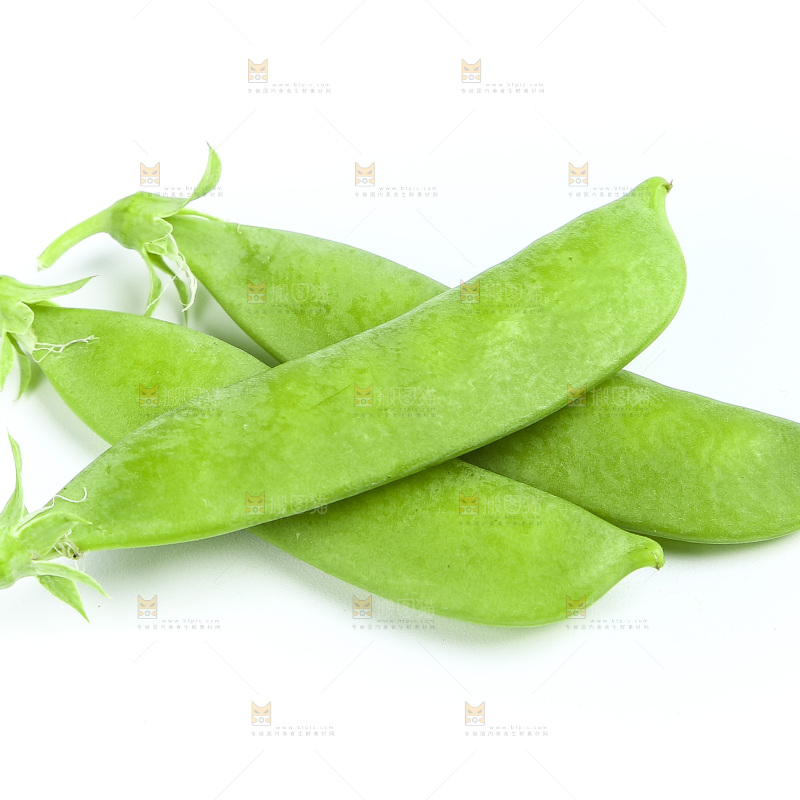 白底上的豌豆荚