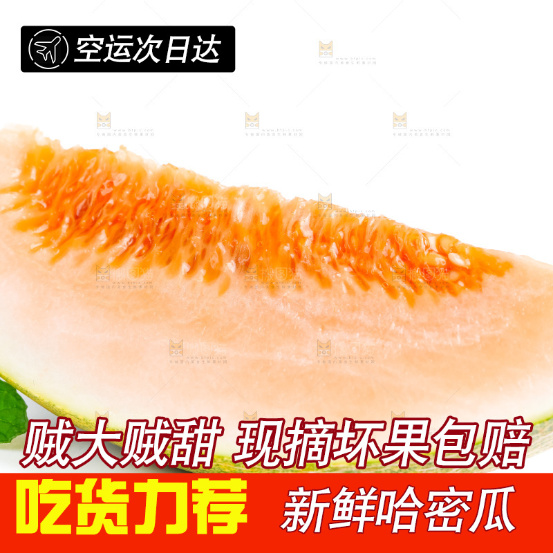 白底上的哈密瓜