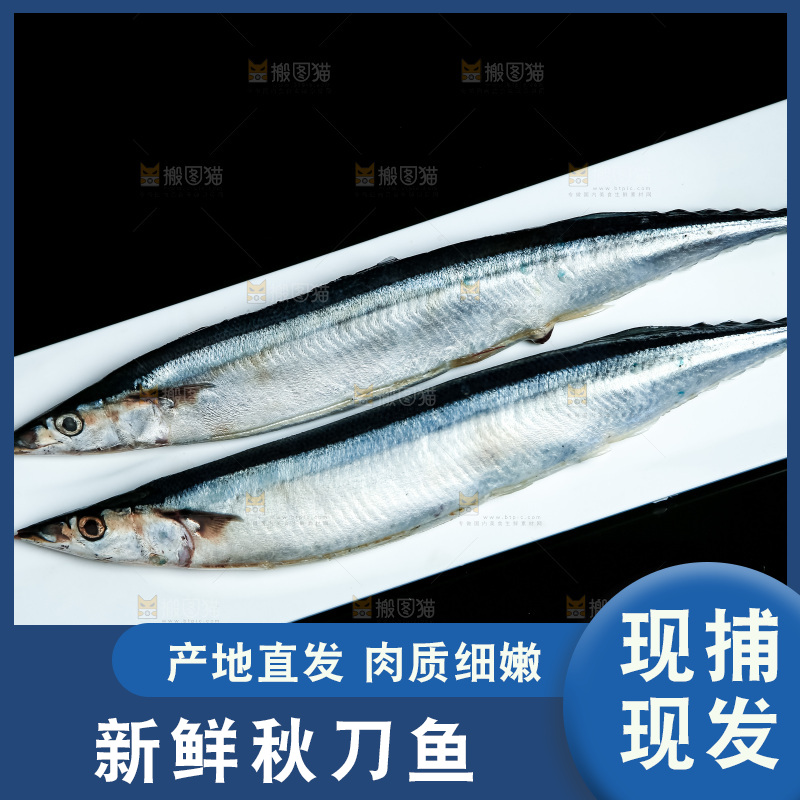 黑底上放着一盘秋刀鱼