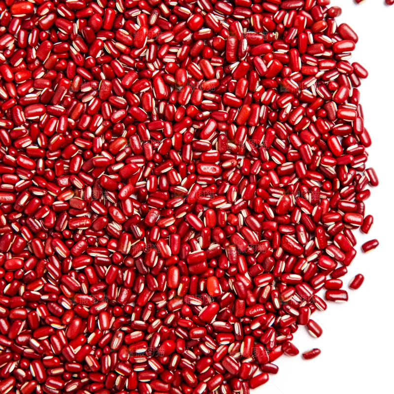 新鲜赤小豆放在白底上