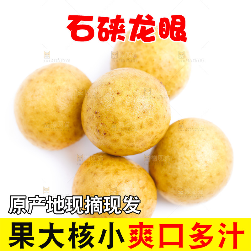 白底上的龙眼