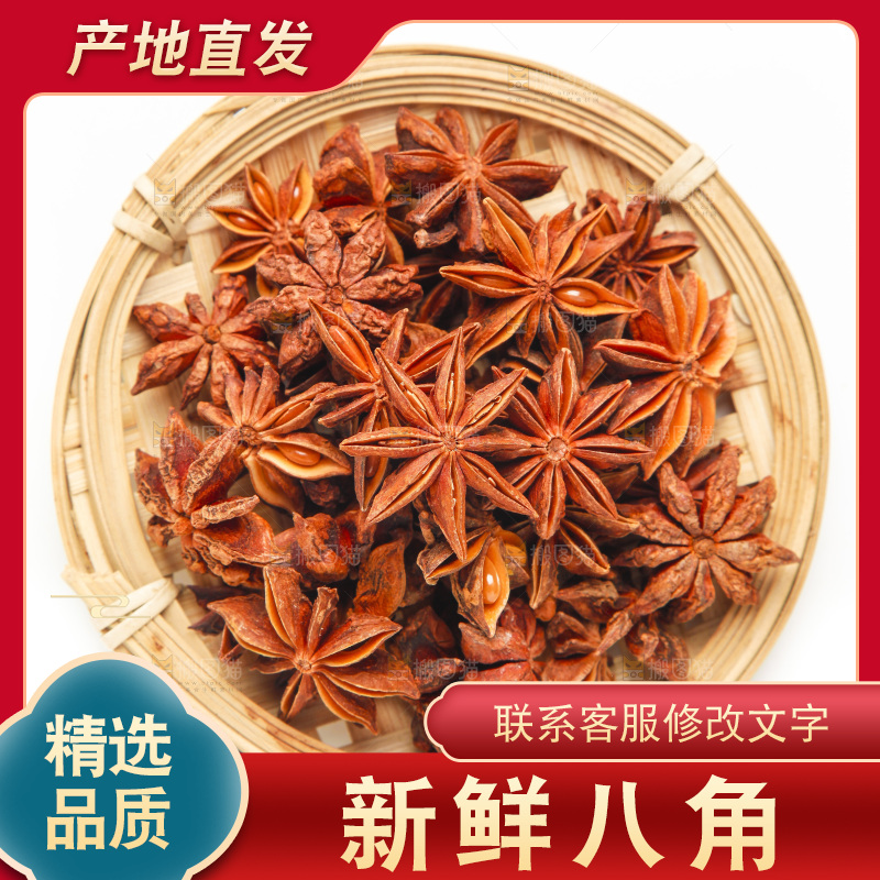 广西八角放在白底上