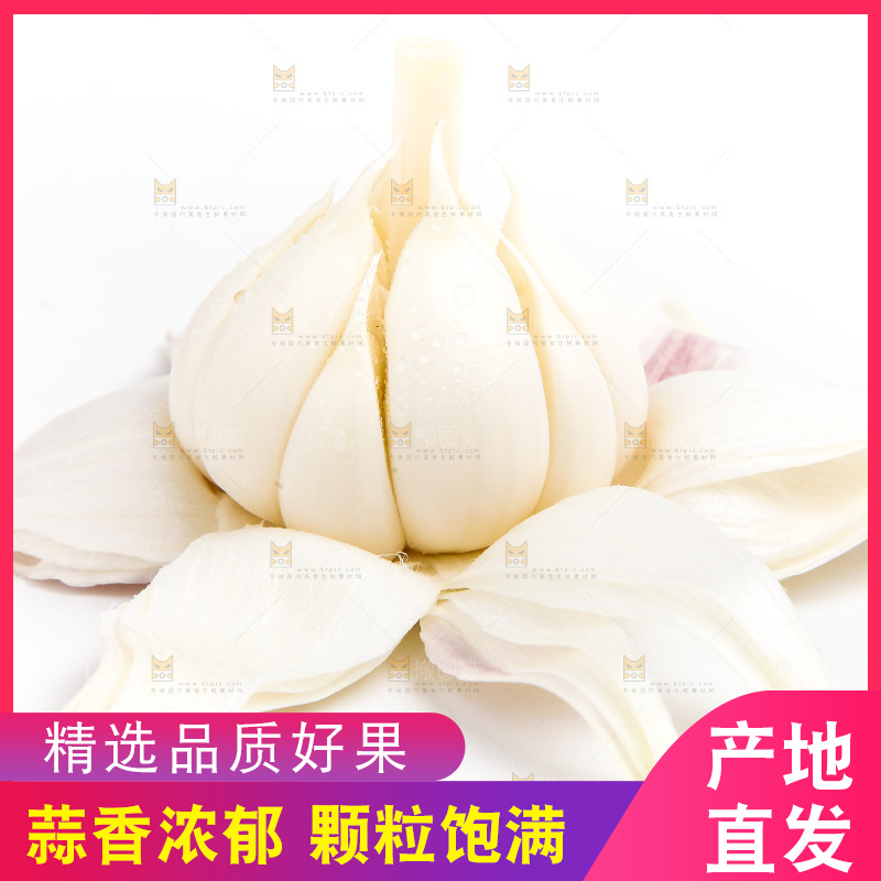 白底上的大蒜