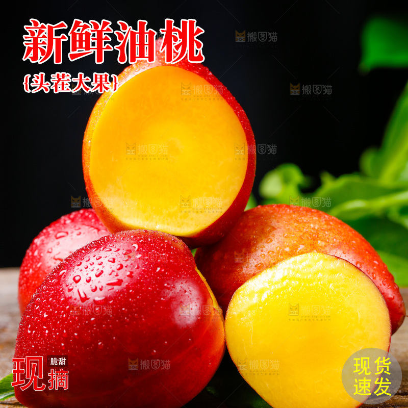 深底上的山西黄心油桃