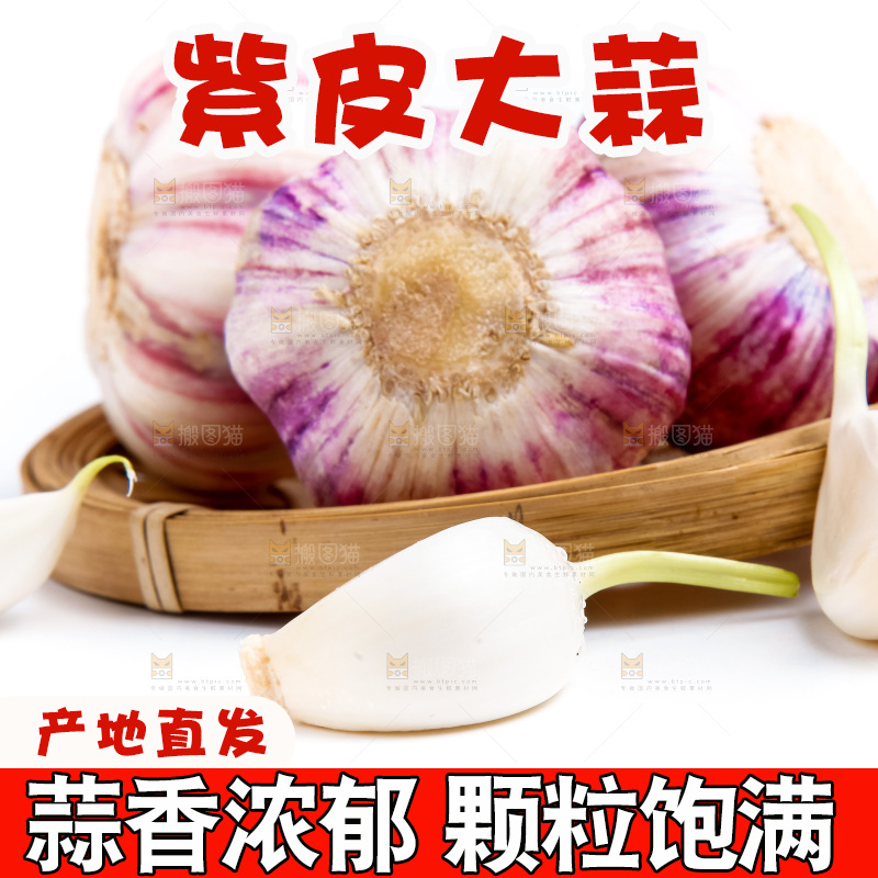 紫皮大蒜放在白底上