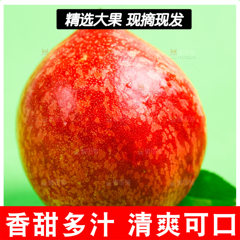 浅底上的新鲜油桃