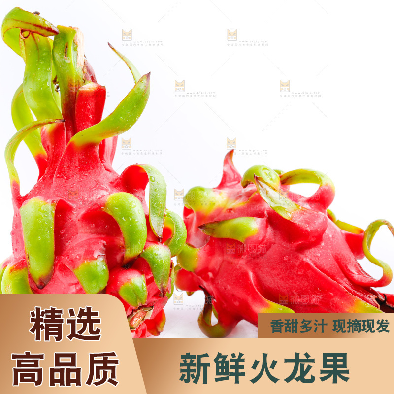 白底上的火龙果