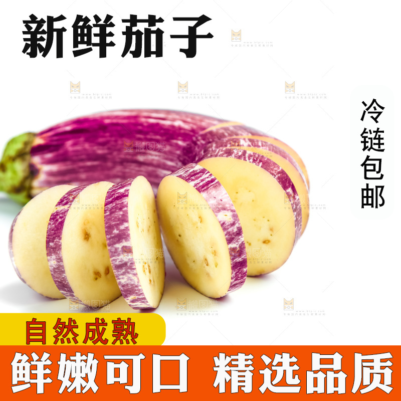 新鲜茄子放在白底上