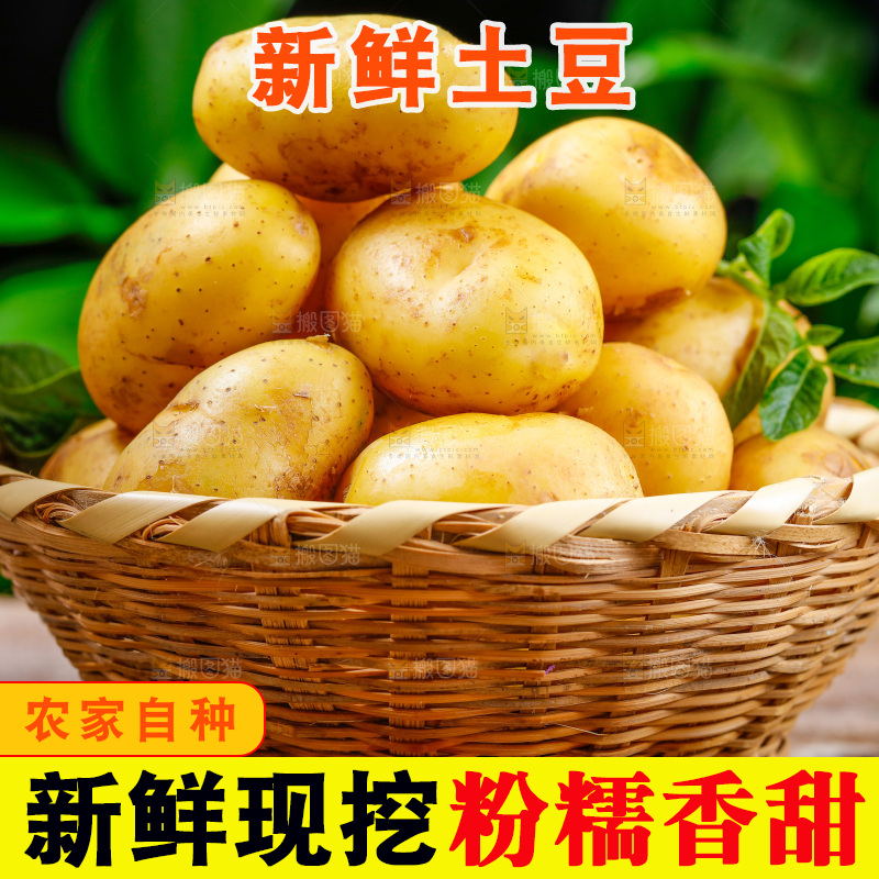 木底放着一筐云南土豆