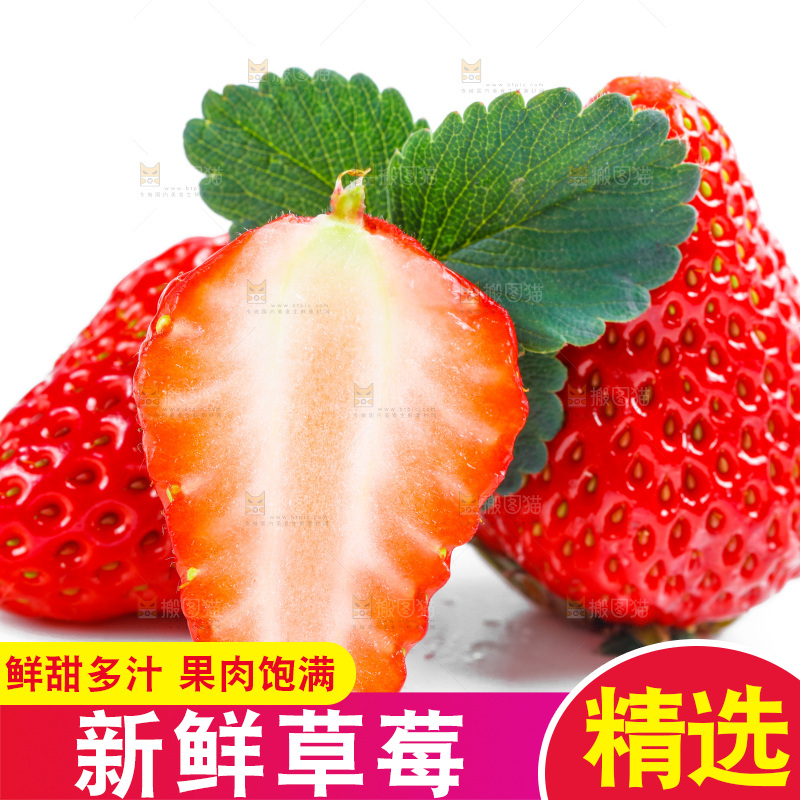 白底上放着99草莓