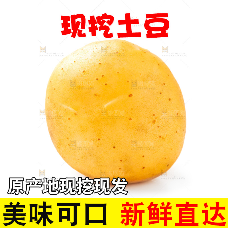 白底上的土豆