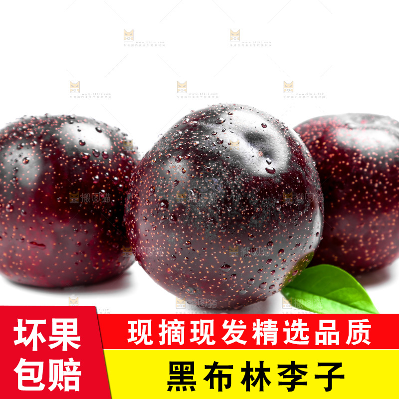 白底上的黑布林