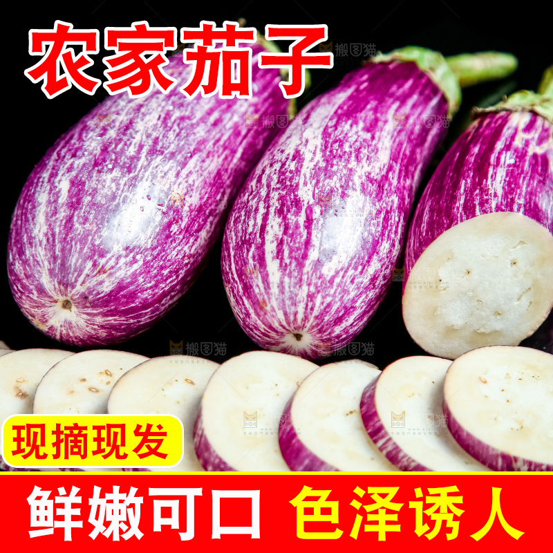 黑底上放着金丝茄子