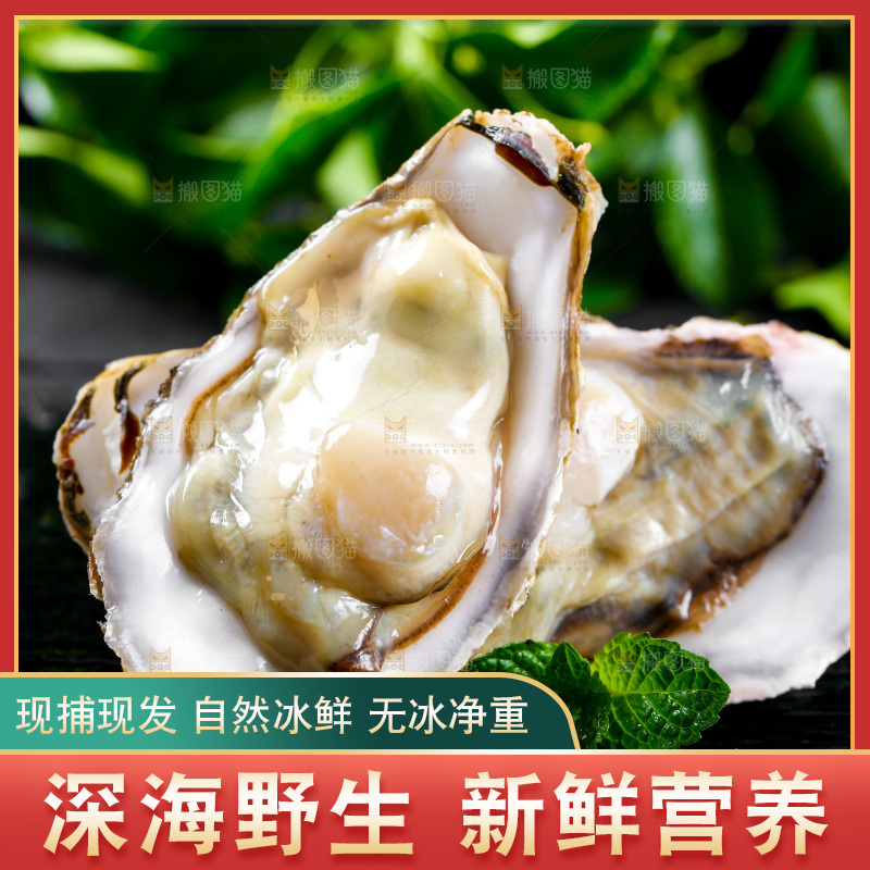 深底上放着牡蛎